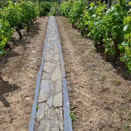 Holiday home Quinta Do Santo No Douro - Casa T3 Alcarias (Baiao)