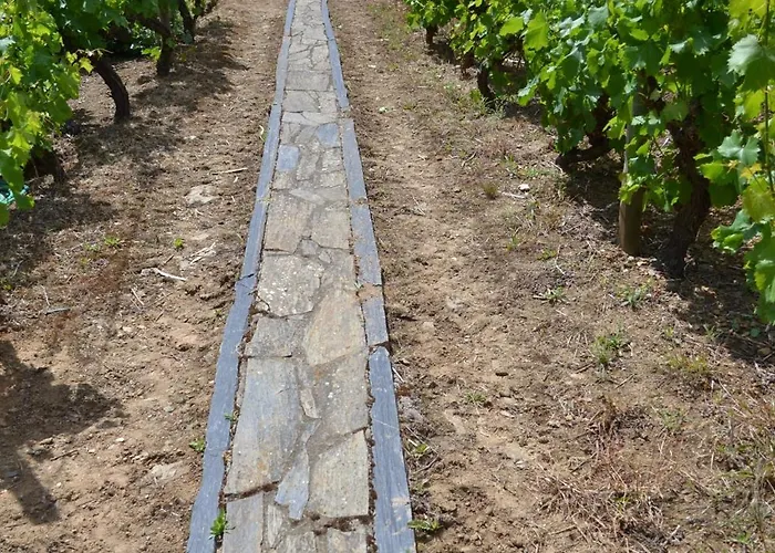 Casa de Férias Quinta Do Santo No Douro - Casa T3 Alcarias (Baiao)